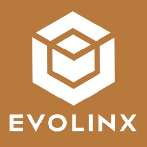 Logo Design For Evolinx Website